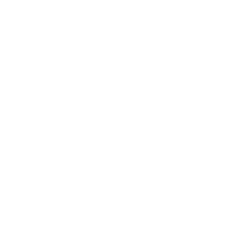 The Luxury Watch Care Company